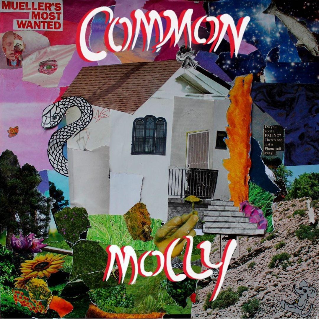 Common Molly