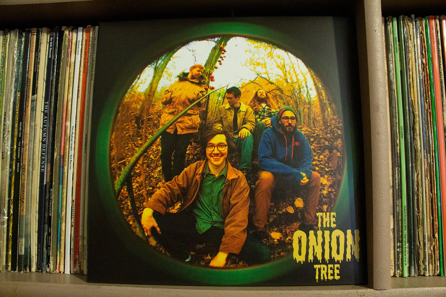 The Onion Tree - Vinyl